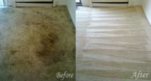 carpet cleaners Westwood