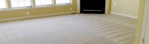 Westwood carpet cleaners